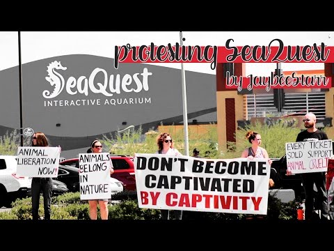 Protesting SeaQuest Interactive Aquarium Las Vegas