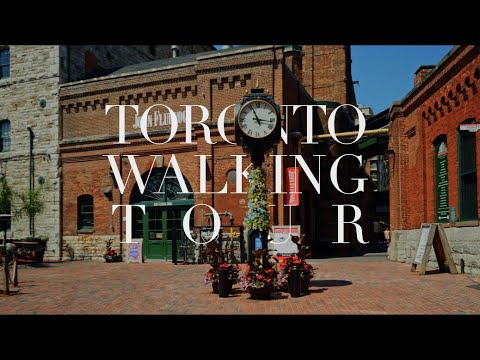 Toronto Walking Tour | feat. Distillery Historic District & Berczy Park Dog Fountain