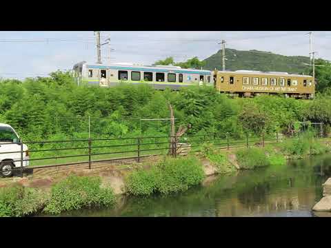 【井原鉄道アート列車と鵜と鴨親子】✨大原美術館とのコラボ企画🎉