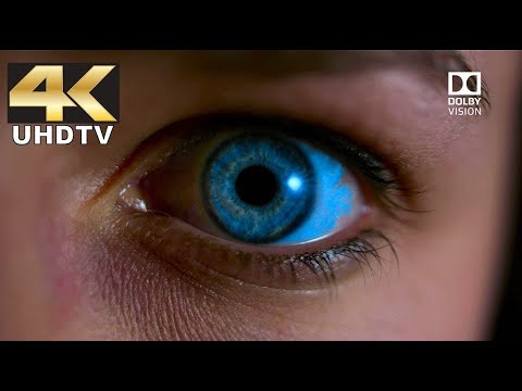 LG 4K Demo - Dolby Vision in True Theater Surround