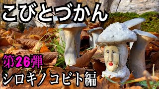 【こびとづかん】シロキノコビト見つけるまで帰れま10！！