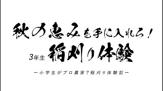 秋の恵みを手に入れろ！３年生稲刈り体験～小学生がプロ農家？稲刈り体験記～