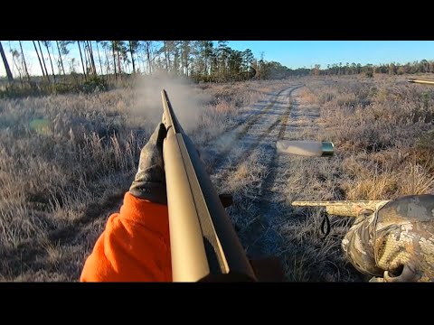 SC Deer Dog Drives 12/7/24: Smoked a Buck on Cam!