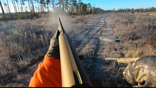 SC Deer Dog Drives 12/7/24: Smoked a Buck on Cam!