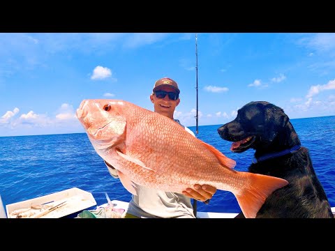 PROFESSIONAL BASS FISHERMAN TAKES ON BIG RED SNAPPER | RIPP TRIES TO HELP