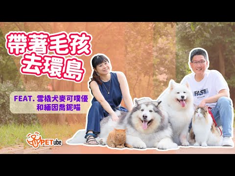 帶著毛孩去環島 Feat.雪橇犬麥可噗優和緬因喬鈮喵【封面故事】｜#哈寵PETube 第239集