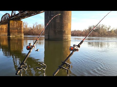 Night Fishing for MONSTER FISH!! (Chaos)