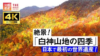 【4K】絶景世界遺産！白神山地の四季　World Heritage,Shirakami Sanchi, Japan. Aerial 4K video in Shirakami Sanchi.