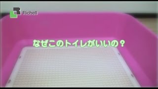 【生産終了】リッチェル　ペット用品　しつけ用ステップ壁付きトイレ特徴