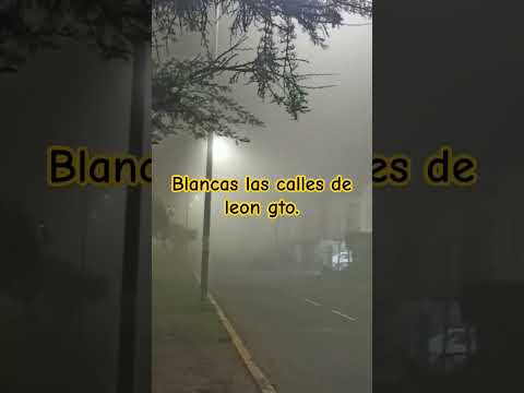 niebla está noche en leon #parati #shortsviral #leongto#real#viral#guanajuato