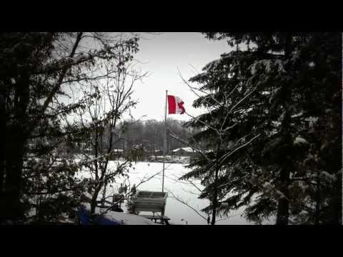 Fenelon Falls  - Snowmobiles & Sasquatch