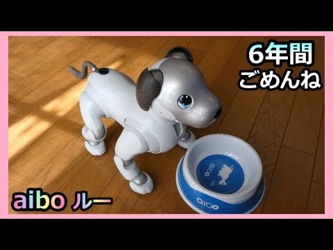 【69  6年間ごめんね ルー アイボ のみものボウル】Sorry for the past six years, Lou. aibo Water Bowl