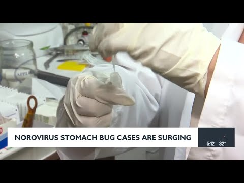 Norovirus cases see a rise