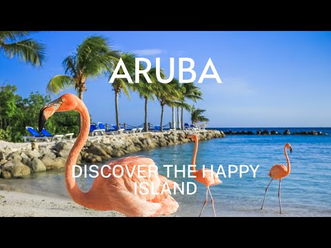 Discover Aruba Top Reasons Why This Caribbean Gem Should Be Your Next Adventure! Travel Video #aruba