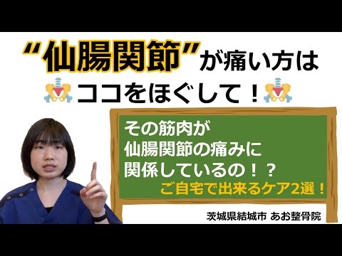 【自宅でトレーニング】仙腸関節の痛みに繋がる3つの筋肉とは！？ケアの方法2選！｜茨城県結城市 あお整骨院