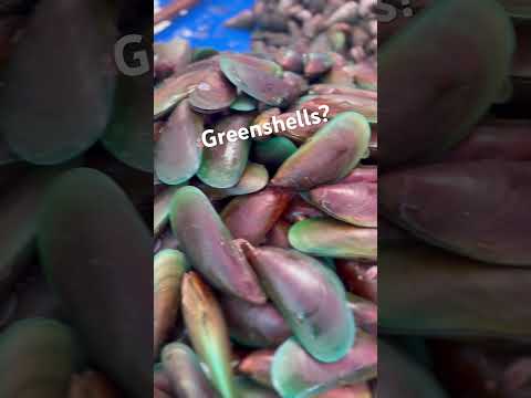 GREEN SHELLS ANO ITO SA TAGALOG? SEA FOOD FOR YOU I WHAT IS YOUR RECIPE? #share  #viral #fun