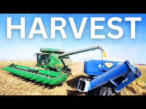 PUSHING THE END OF SOYBEANS AND ROLLING OUT OF THE CORN - Harvest 2024 Episode 9