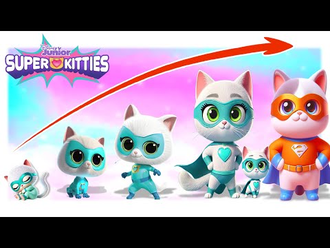 SuperKitties 2024 Growing Up Compilation | Go WOW