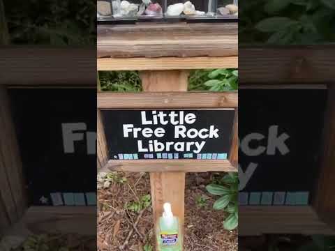 Rockhounding Dream - Lendinf Library #shorts #rockhounding