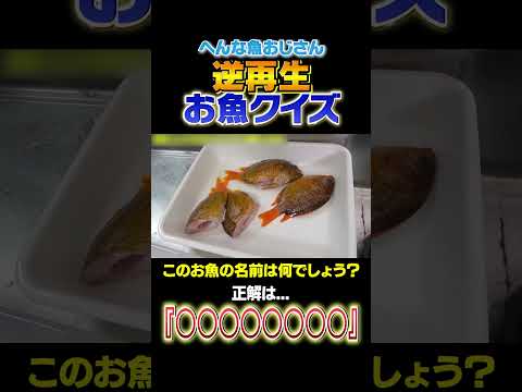 【逆再生お魚クイズ】この綺麗な小さいお魚はなんでしょう？！難易度★８#shorts  #seafood #食テロ #asmr ＃逆再生 #お魚クイズ