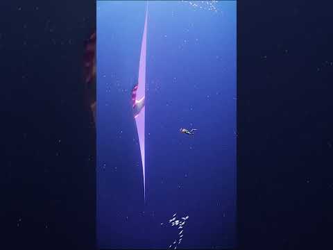 Thalassophobia #1: Mysterious world under the ocean | #shorts #creature #mysterious