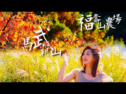 好”楓”滿！福壽山農場追紅葉 馬武霸山賞百岳 武陵農場黃綠紅看不厭