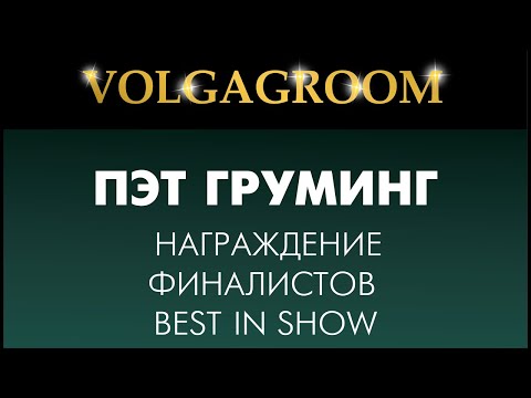 VOLGAGROOM 16.02: Награждение ПЭТ груминг