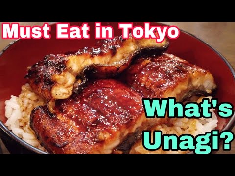 Must Eat Japanese Food in Tokyo 【Unatoto（宇奈とと）】【e店舗media.vol.28】