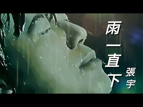 《雨一直下》張宇