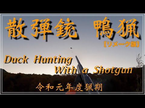 令和元年度 散弾銃 鴨猟 (Duck Hunting with a Shotgun)【リメーク版】