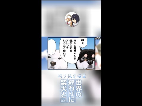 【世界の終わりに柴犬と】切り抜き編集 #s19  /白雪さんとかぐやさん/ #世界の終わりに柴犬と  #shorts