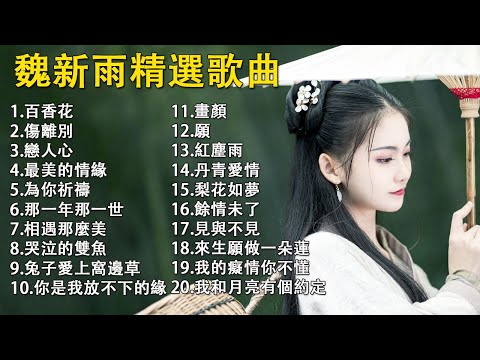 魏新雨精選歌曲 l 無廣告版本 l 【百香花、傷離別、你是我放不下的緣、戀人心、為你祈禱】