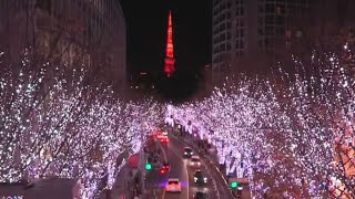 TOKYO Night Xmas version🎄