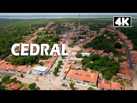 CEDRAL VISTO DE CIMA | 4K