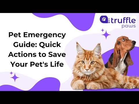 🐾 Pet Emergency Guide: Quick Actions to Save Your Pet's Life 🚨