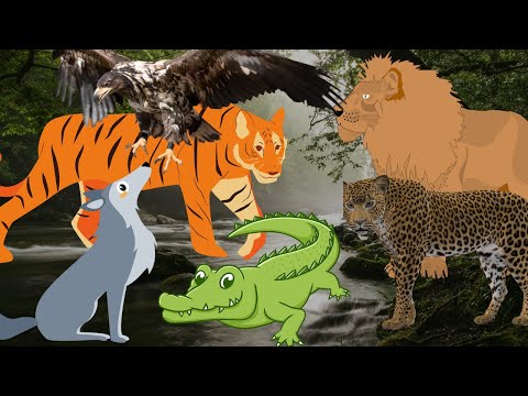 Wild Animals in the World - lion wolf tiger leopard crocodile - Animal Sounds