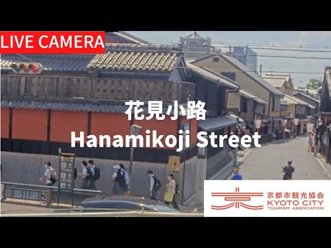 【LIVE】花見小路（京都市観光協会公式）／Hanamikoji Street, Kyoto Live camera