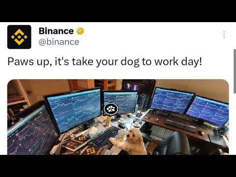 PAWS KEMUNGKINAN BESAR BAKALAN LISTING DI BINANCE