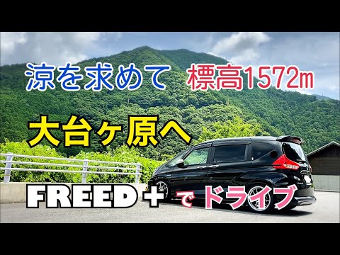 【夏のドライブ】フリードプラスで行く/涼を求めて大台ヶ原へ/アラフィフ母/息子と二人【フリードプラス】