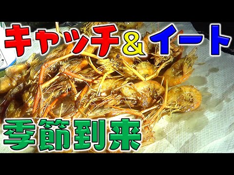 テナガエビ釣って食べよう！６月は手長海老釣りの季節が到来！簡単に釣れるね！