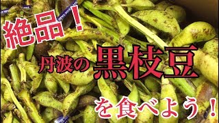 絶品！丹波の黒枝豆が美味過ぎて死ぬレベル！