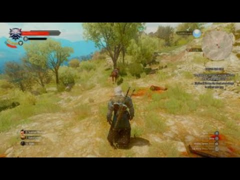 The Witcher 3 - Roach Helping