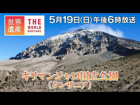 【TBS世界遺産】アフリカ最高峰！赤道下の氷河へ～キリマンジャロ国立公園（タンザニア）【5月19日午後6時放送】