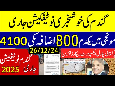 today wheat price in punjab//گندم کا ریٹ/25 '2024/munji makki till sarso/galla mandi rates today1509