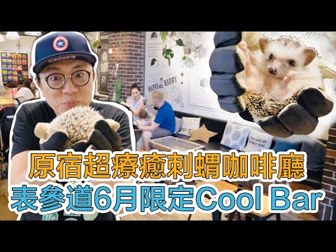 原宿超療癒刺蝟咖啡廳Harry Cafe🦔表參道6月限定Cool Bar啤酒漢堡🍺｜Mr.Sean香老闆Vlog