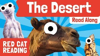 The Desert | Curious Kids | Fun Facts for Kids | Made by Red Cat Reading