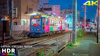 Tokyo evening walk in Sugamo, Japan | Autumn 2024 • 4K HDR