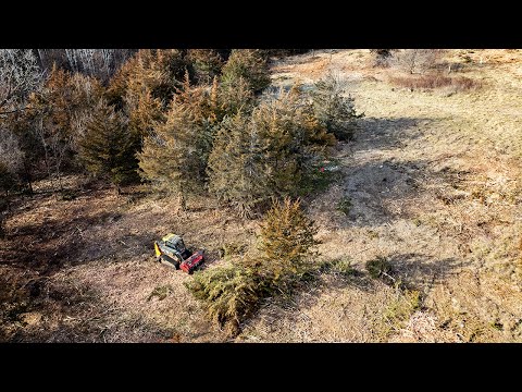 Exploding Cedar Trees - JCB 3TS-8T