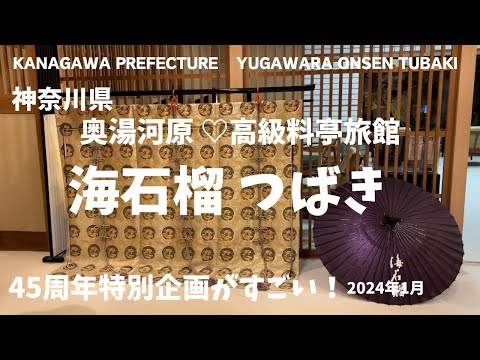 湯河原観光/湯河原温泉海石榴つばき旅館宿泊記/湯河原vlog/老舗旅館