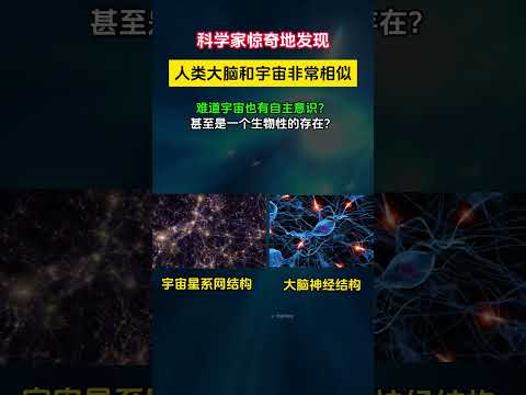 研究发现，宇宙和人脑极其相似！这究竟意味着什么？星系之间形成的网状结构，之间有节点有纽带，似乎有联系。这和人的大脑神经结构非常像。难道宇宙是一个生物性的存在？  #宇宙探索#space